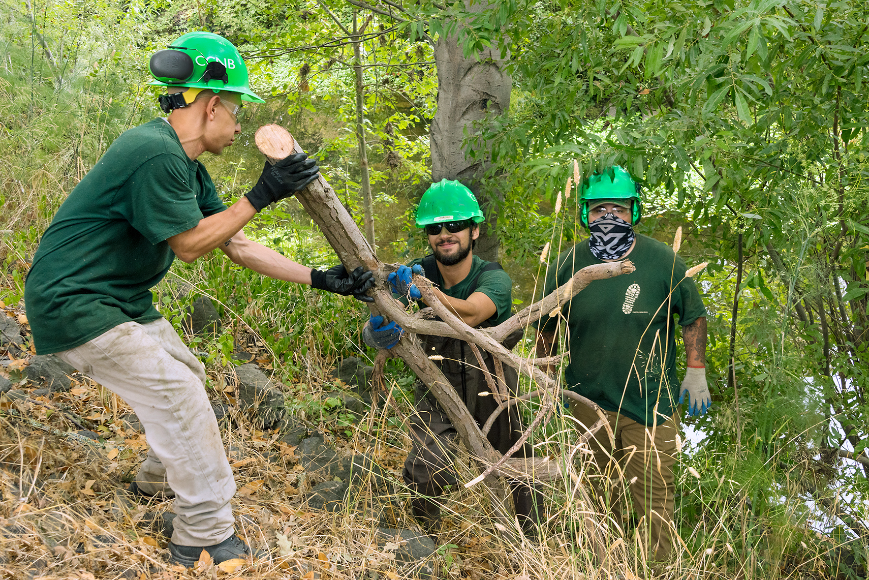 Natural Resources Crews - Conservation Corps North Bay