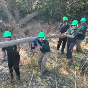 Conservation Corps North Bay - Become a Corpsmember