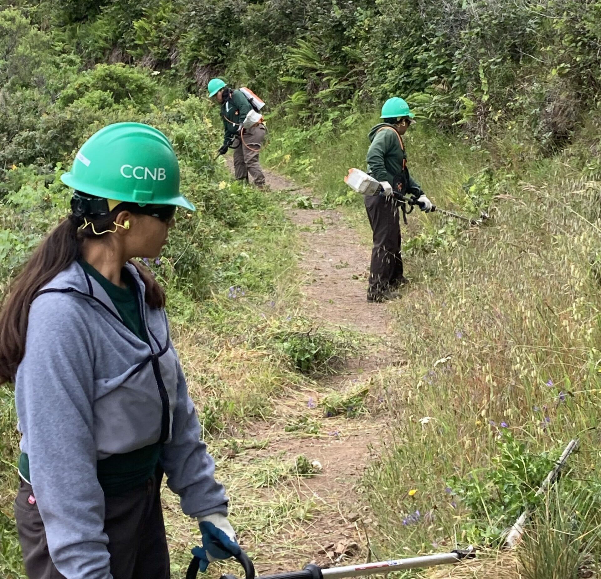 Conservation Corps North Bay - Become a Corpsmember